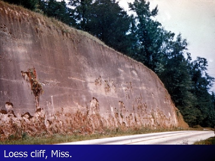 Loess cliff, Miss. 