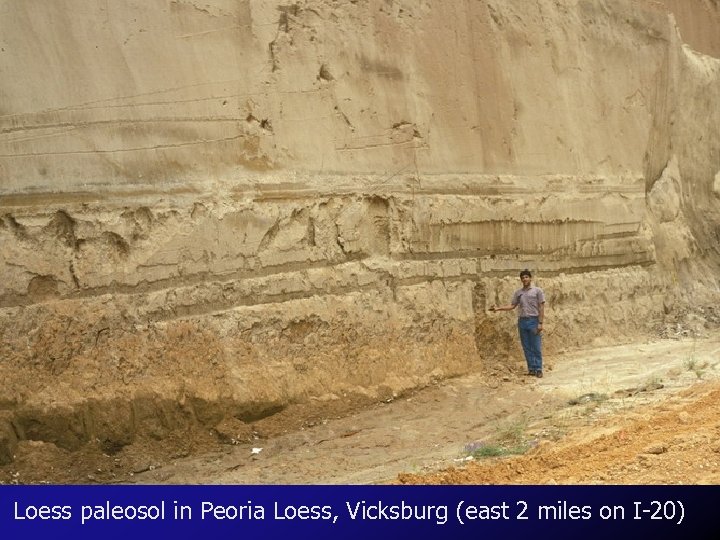 Loess paleosol in Peoria Loess, Vicksburg (east 2 miles on I-20) 