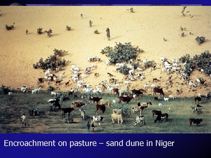 Encroachment on pasture – sand dune in Niger 