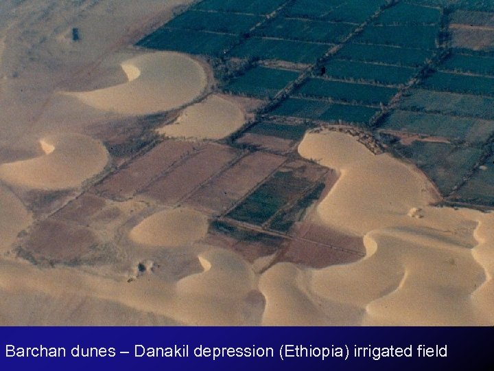 Barchan dunes – Danakil depression (Ethiopia) irrigated field 