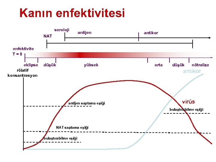 Kanın enfektivitesi seroloji NAT antijen antikor enfektivite T = 0 eklipse rölatif konsantrasyon düşük