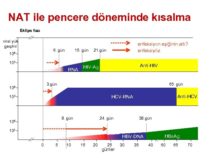 NAT ile pencere döneminde kısalma Eklips fazı viral yük geq/ml 6. gün 106 15.