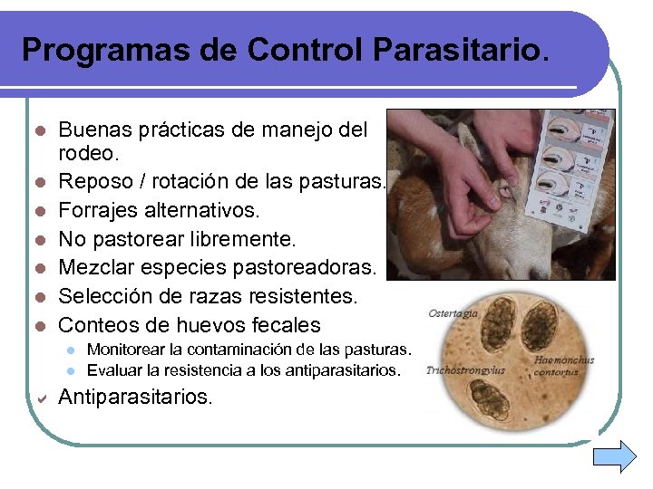 Programas de Control Parasitario. l l l l Buenas prácticas de manejo del rodeo.