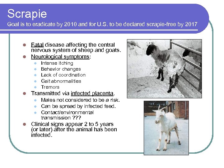 Scrapie Goal is to eradicate by 2010 and for U. S. to be declared