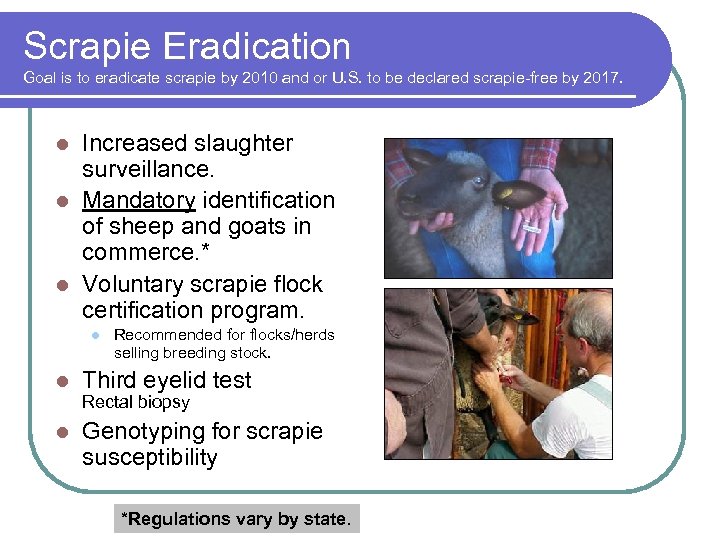 Scrapie Eradication Goal is to eradicate scrapie by 2010 and or U. S. to