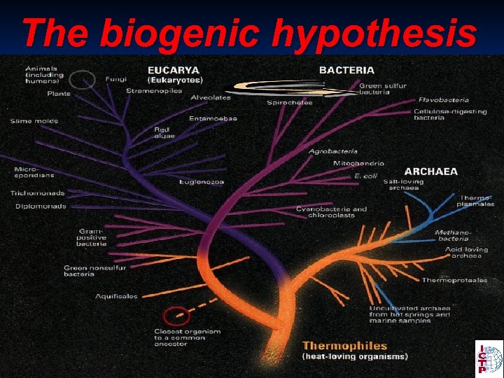 The biogenic hypothesis 