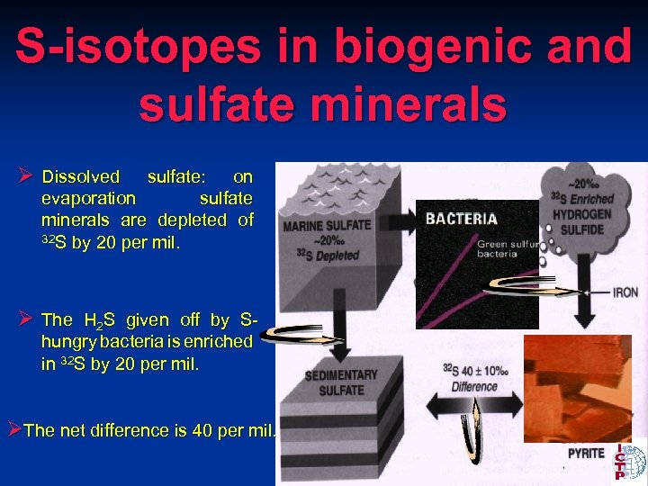 S-isotopes in biogenic and sulfate minerals Ø Dissolved sulfate: on evaporation sulfate minerals are