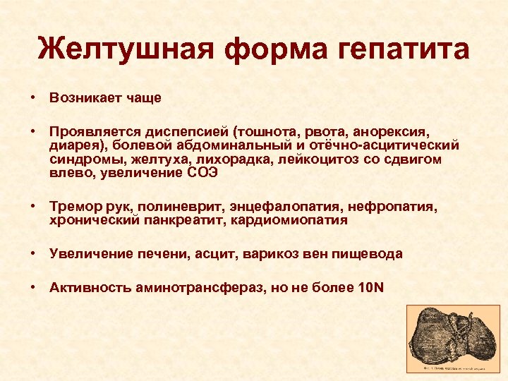 Желтушная форма гепатита • Возникает чаще • Проявляется диспепсией (тошнота, рвота, анорексия, диарея), болевой