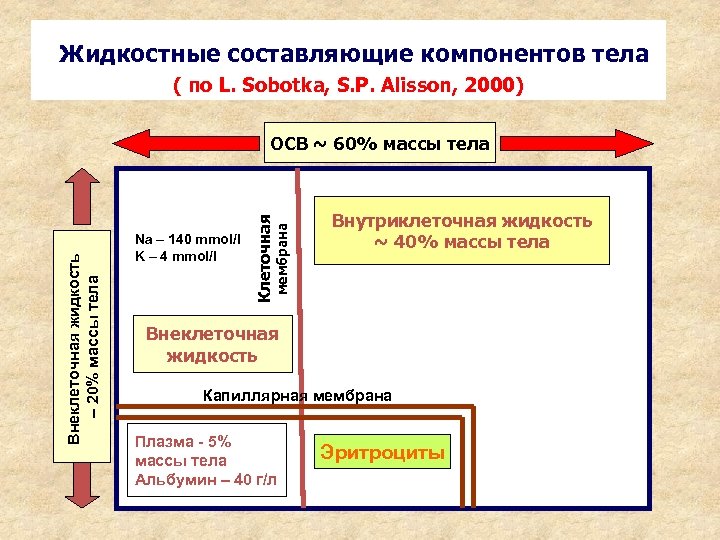 Жидкостные составляющие компонентов тела ( по L. Sobotka, S. P. Alisson, 2000) мембрана Na