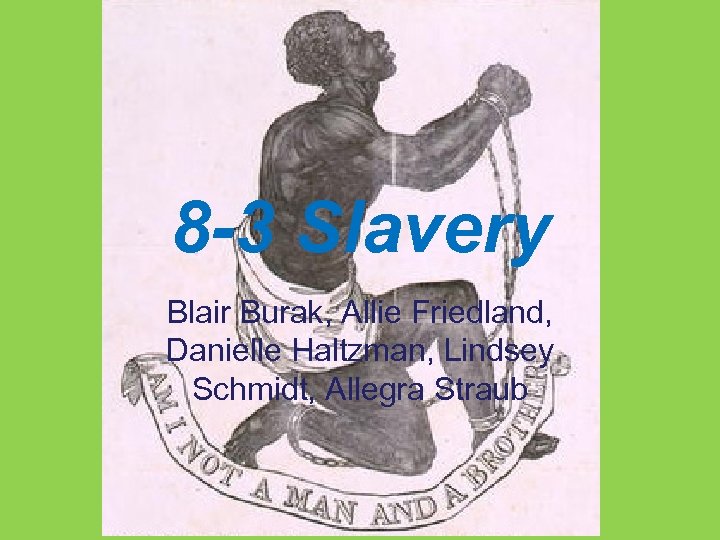 8 -3 Slavery Blair Burak, Allie Friedland, Danielle Haltzman, Lindsey Schmidt, Allegra Straub 