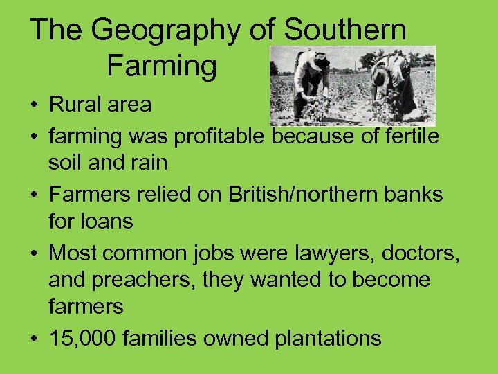 The Geography of Southern Farming • Rural area • farming was profitable because of
