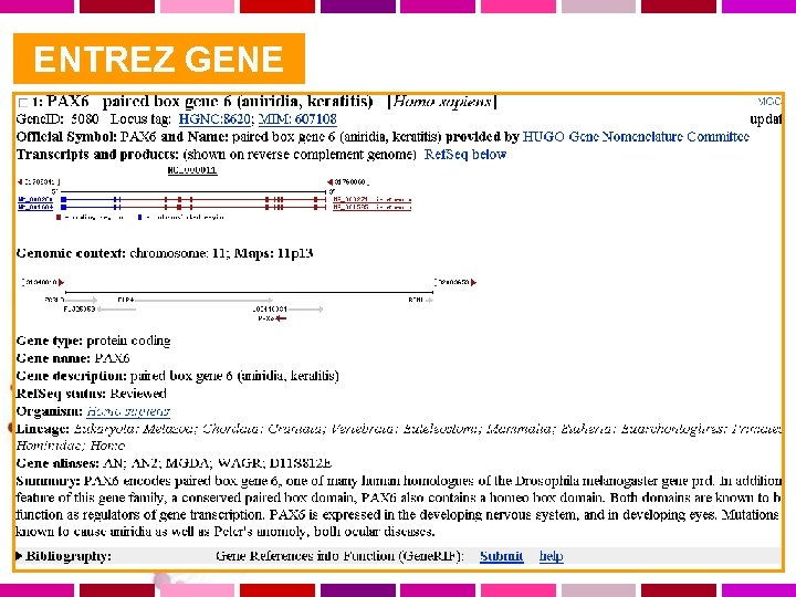  ENTREZ GENE 