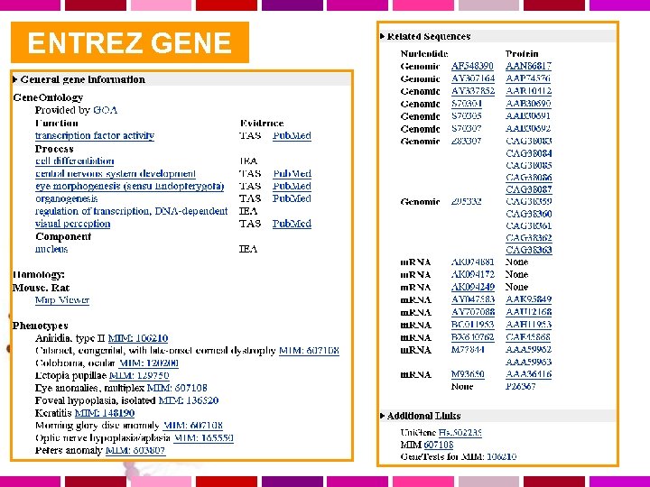  ENTREZ GENE 