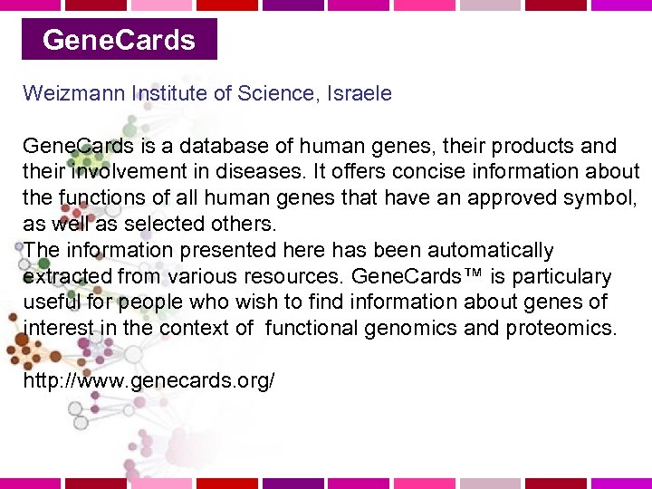 Gene. Cards Weizmann Institute of Science, Israele Gene. Cards is a database of human
