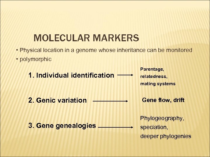 MOLECULAR MARKERS • Physical location in a genome whose inheritance can be monitored •