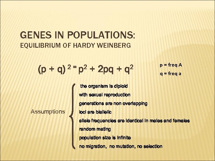 GENES IN POPULATIONS: EQUILIBRIUM OF HARDY WEINBERG (p + q) 2 = p 2