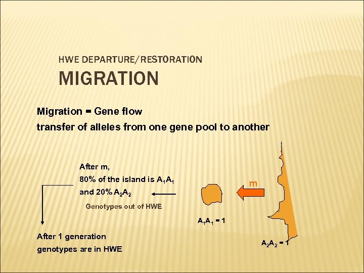 HWE DEPARTURE/RESTORATION MIGRATION Migration = Gene flow transfer of alleles from one gene pool