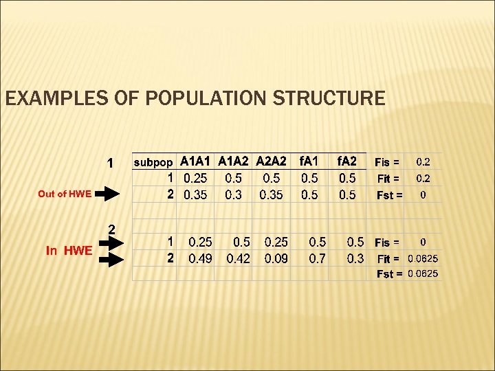 EXAMPLES OF POPULATION STRUCTURE 1 Out of HWE 2 In HWE 