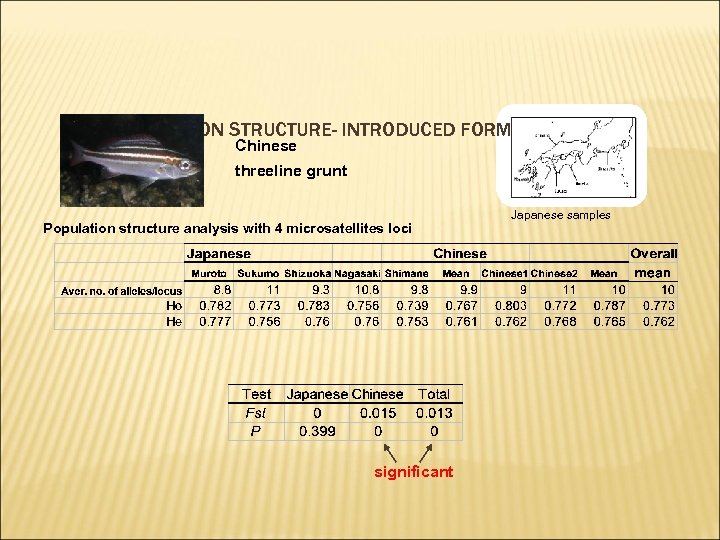 4. POPULATION STRUCTURE- INTRODUCED FORMS Chinese threeline grunt Population structure analysis with 4 microsatellites