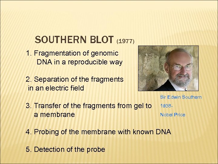 SOUTHERN BLOT (1977) 1. Fragmentation of genomic DNA in a reproducible way 2. Separation