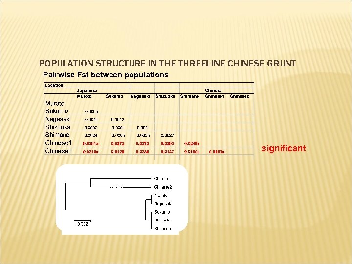 POPULATION STRUCTURE IN THE THREELINE CHINESE GRUNT Pairwise Fst between populations significant 