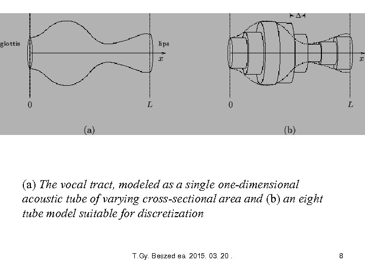 (a) The vocal tract, modeled as a single one-dimensional acoustic tube of varying cross-sectional