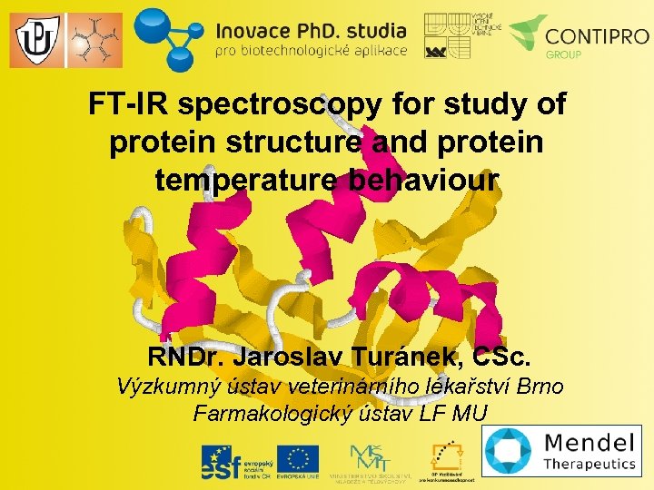 FT-IR spectroscopy for study of protein structure and protein temperature behaviour RNDr. Jaroslav Turánek,