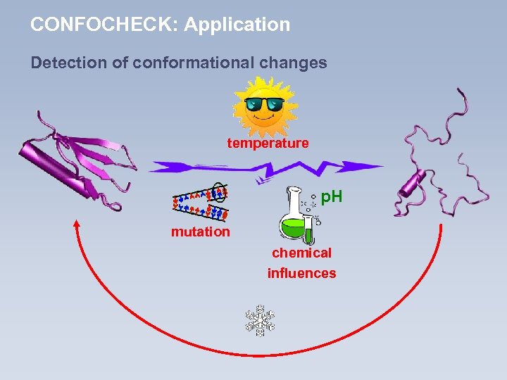 CONFOCHECK: Application Detection of conformational changes temperature p. H mutation chemical influences 