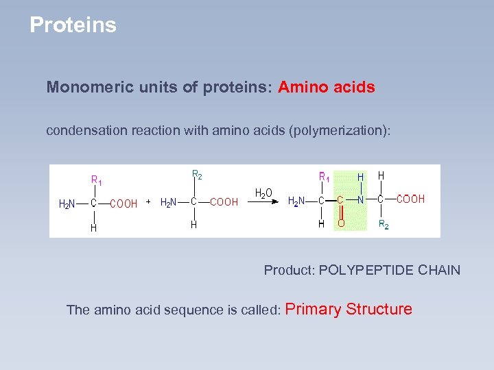 Proteins Monomeric units of proteins: Amino acids condensation reaction with amino acids (polymerization): Product: