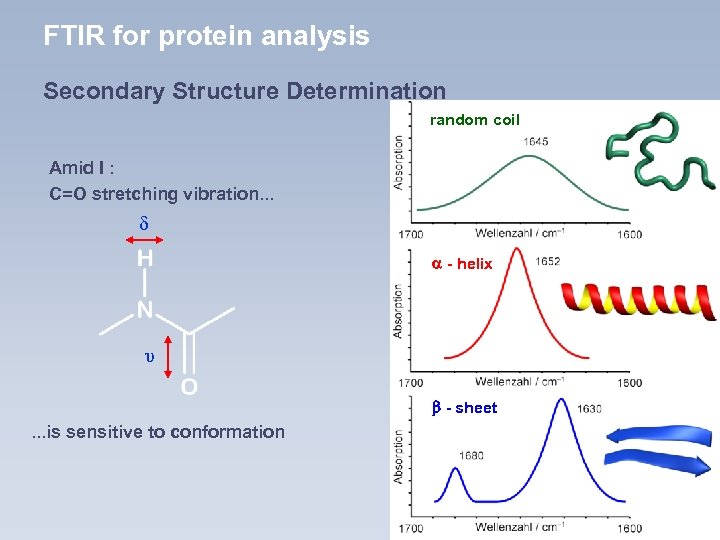 FTIR for protein analysis Secondary Structure Determination random coil Amid I : C=O stretching