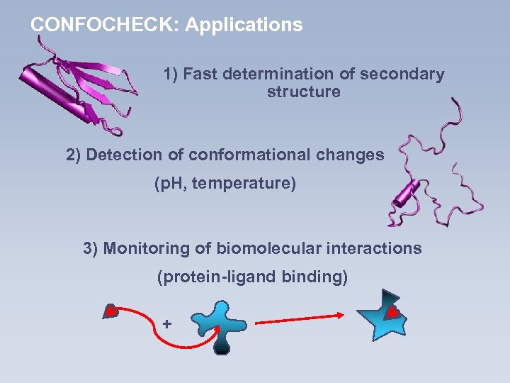 CONFOCHECK: Applications 1) Fast determination of secondary structure 2) Detection of conformational changes (p.