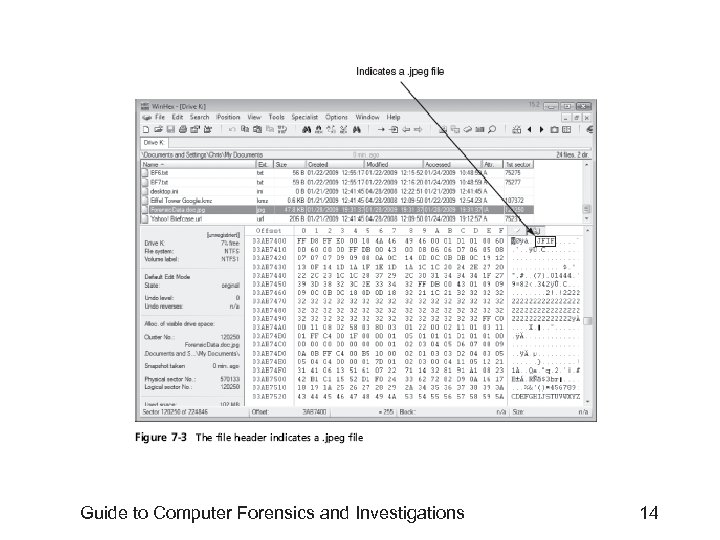 Guide to Computer Forensics and Investigations 14 