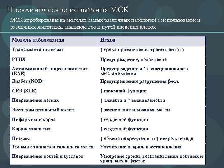 Преклинические испытания МСК апробированы на моделях самых различных патологий с использованием различных животных, анализом