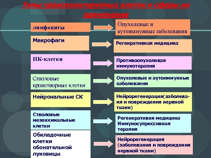 Типы трансплантируемых клеток и сферы их применения лимфоциты Макрофаги Опухолевые и аутоиммунные заболевания Регенративная