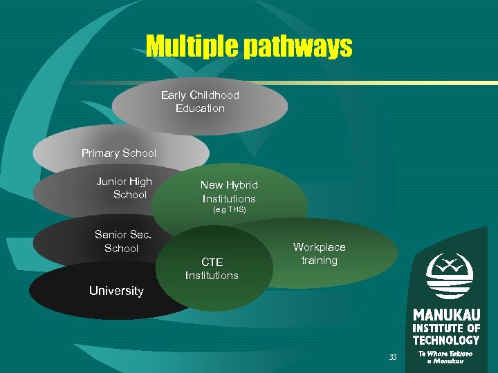 Multiple pathways Early Childhood Education Primary School Junior High School New Hybrid Institutions (e.