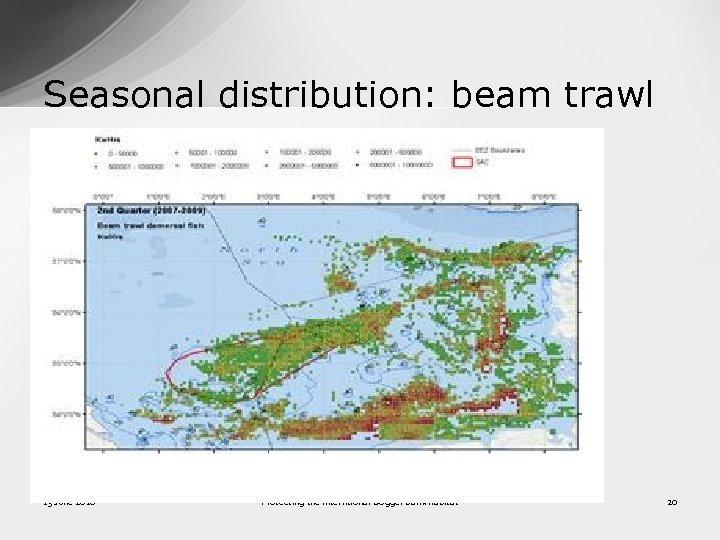 Seasonal distribution: beam trawl 13 June 2016 Protecting the interntional Dogger Bank habitat 20