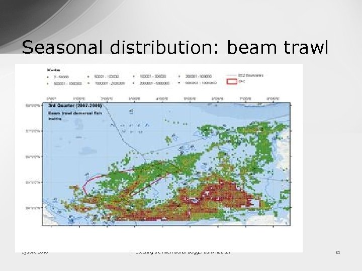 Seasonal distribution: beam trawl 13 June 2016 Protecting the interntional Dogger Bank habitat 21