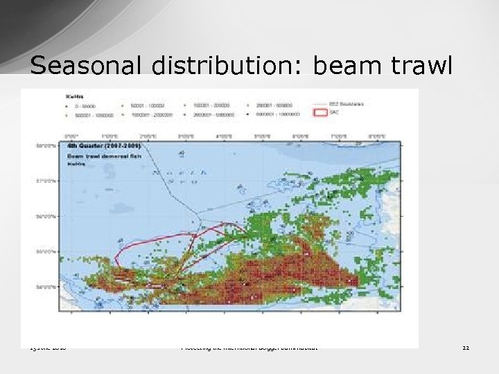 Seasonal distribution: beam trawl 13 June 2016 Protecting the interntional Dogger Bank habitat 22