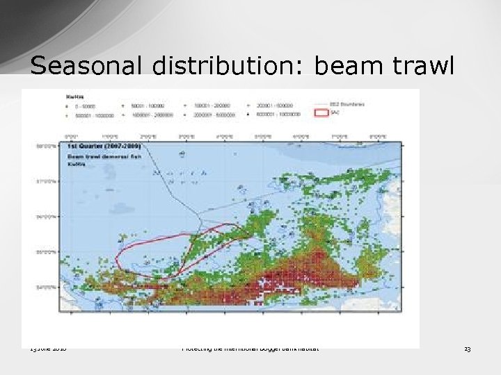 Seasonal distribution: beam trawl 13 June 2016 Protecting the interntional Dogger Bank habitat 23