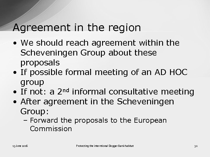 Agreement in the region • We should reach agreement within the Scheveningen Group about