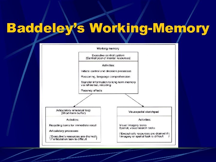 Baddeley’s Working-Memory 