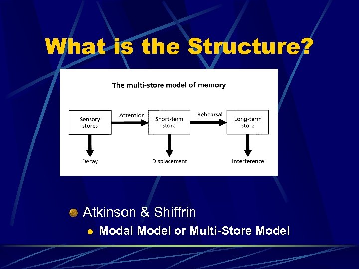 What is the Structure? Atkinson & Shiffrin l Modal Model or Multi-Store Model 