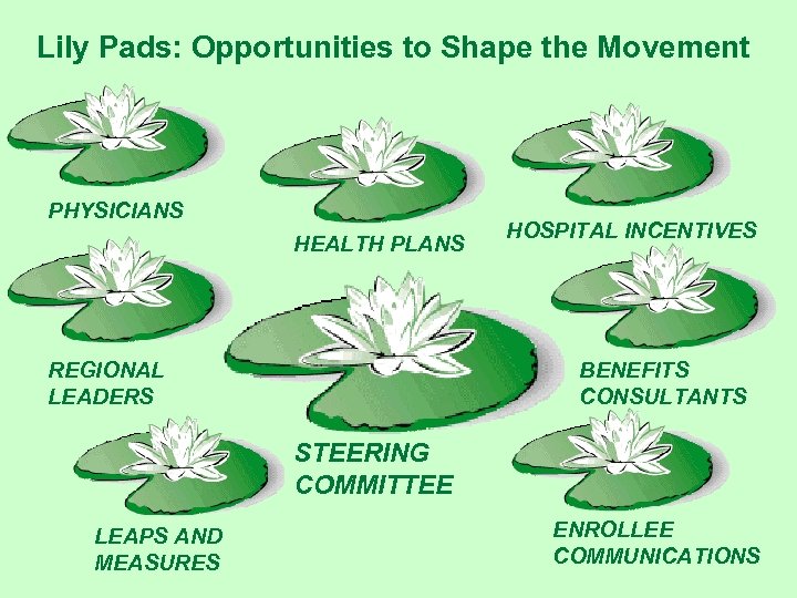 Lily Pads: Opportunities to Shape the Movement PHYSICIANS HEALTH PLANS REGIONAL LEADERS HOSPITAL INCENTIVES