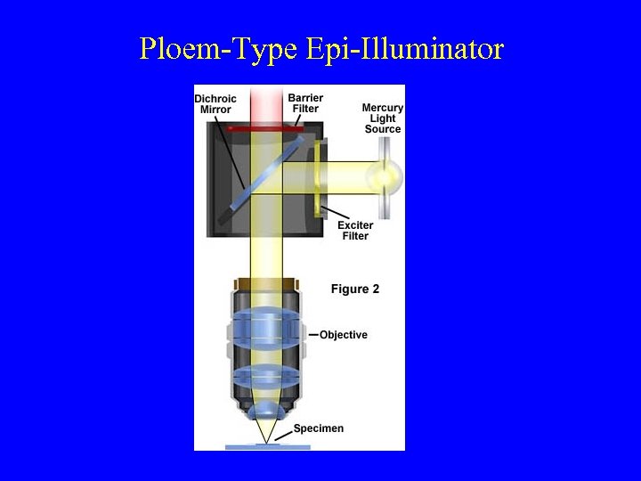 Ploem-Type Epi-Illuminator 