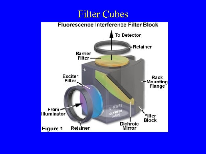 Filter Cubes 