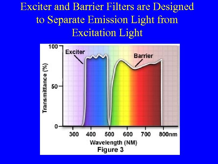 Exciter and Barrier Filters are Designed to Separate Emission Light from Excitation Light 
