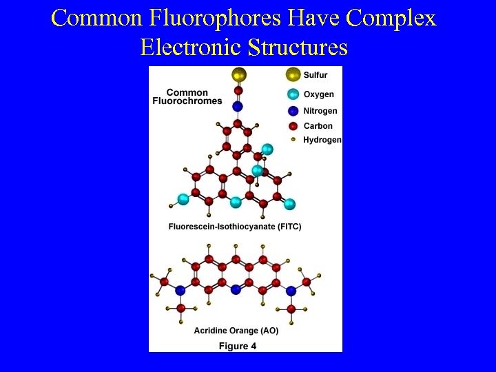 Common Fluorophores Have Complex Electronic Structures 