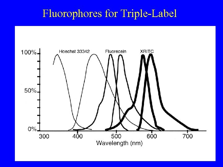 Fluorophores for Triple-Label 