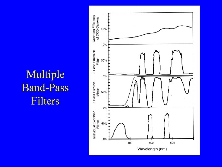 Multiple Band-Pass Filters 