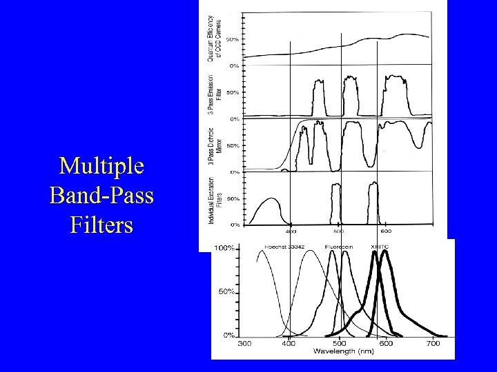 Multiple Band-Pass Filters 